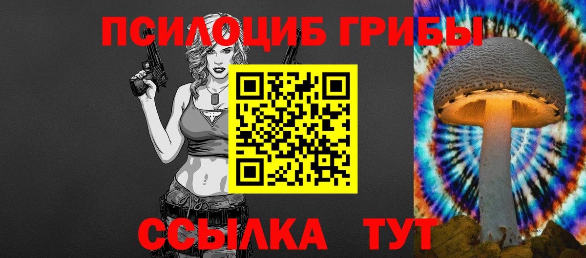 Гатчина  Галлюциногенные грибы Magic Shrooms  Галлюциногенные грибы Psilocybine cubensis  Вход с VPN 