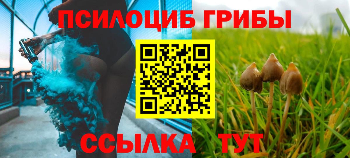 Галлюциногенные грибы мухоморы Гатчина