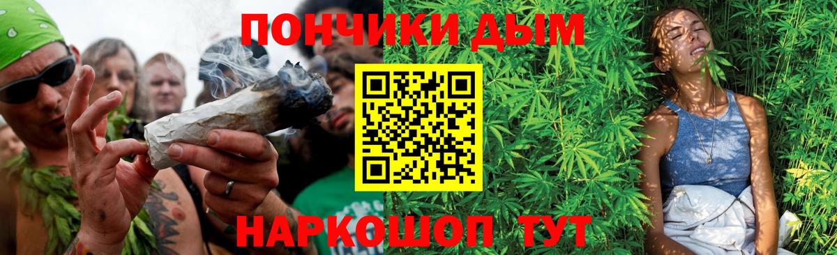 Бошки марихуана конопля Гатчина